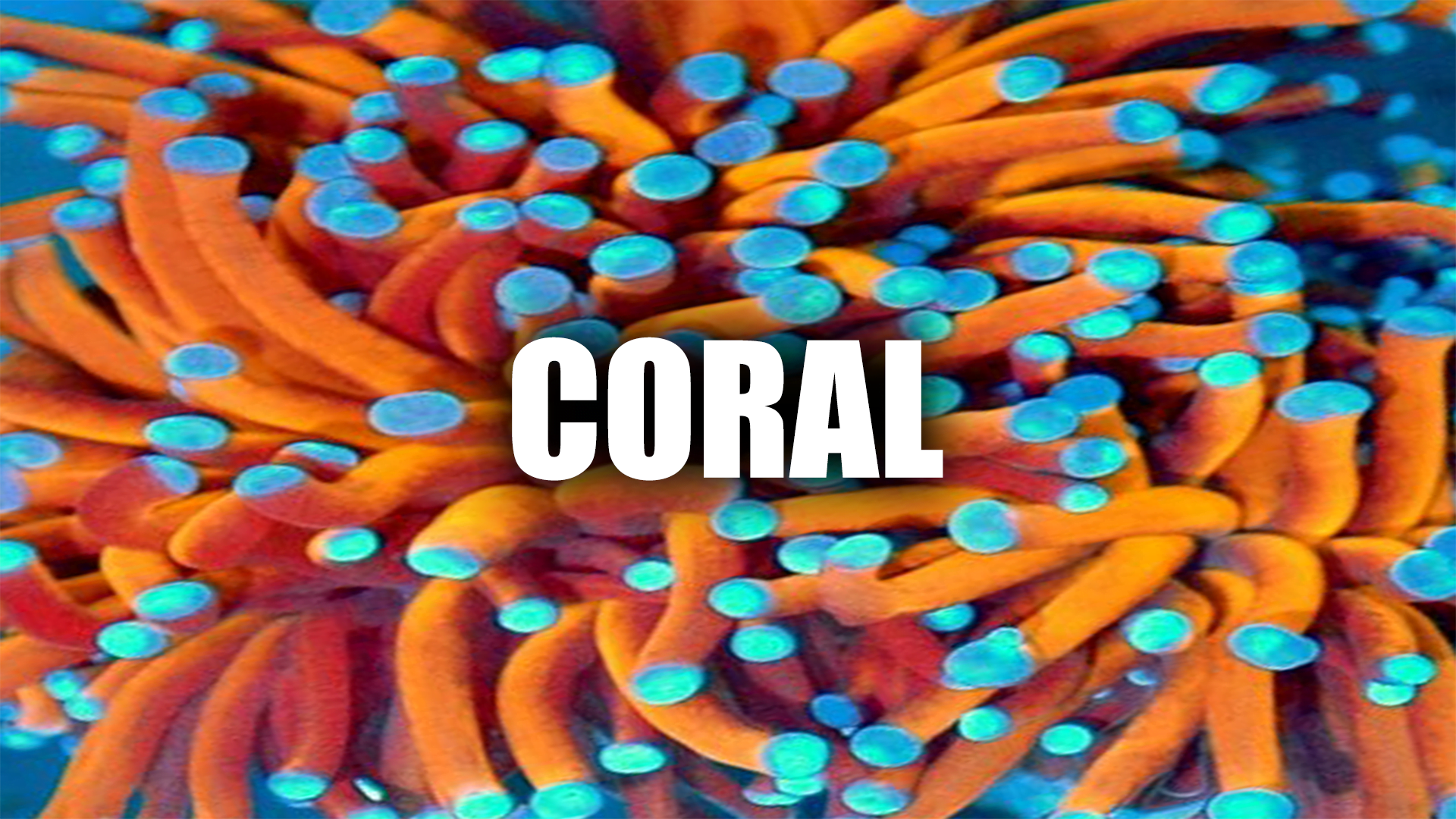 Coral corsair icue razer synapse rgb profiles