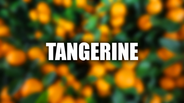 Tangerine - Corsair iCUE | Razer Synapse - RGB Profiles