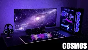Cosmos