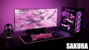 Sakura